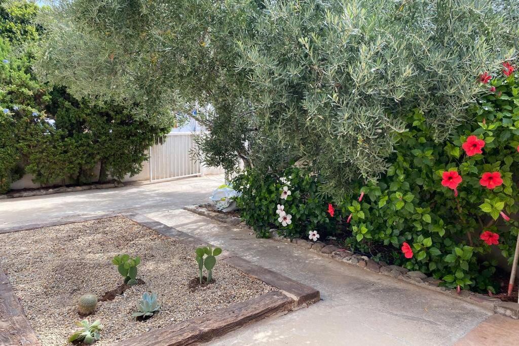 Casa Marite Βίλα San Jose  Εξωτερικό φωτογραφία